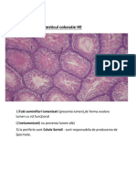 Histologie