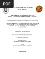 Universidad Nacional Pedro Ruiz Gallo: Facultad de Ingeniería Agrícola Escuela Profesional de Inenieria Agricola