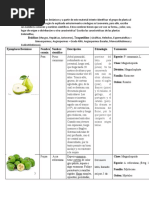 Taller N°2 Nomenclatura - Lab