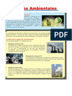 GEOGRAFÍA - PROBLEMAS AMBIENTALES-Sexto Primaria