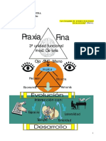 Tema 14 Praxia Fina