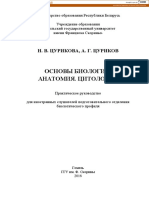 Основы биологии. Анатомия. Цитология