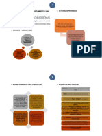 Comportamiento Vial Correcto