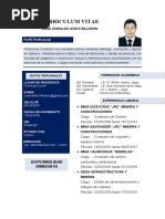 Curriculum Vitae: Perfil Profesional