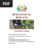 Huellitas Al Rescate: Guardería Canina