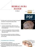 Cerebral Dura Mater: Dr. Manuni