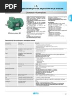 LS Totally Enclosed Three-Phase Asynchronous Motors: General Information