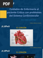 Paciente Criticoco Con Problemas Del Sitema Cardiovascular