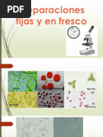 Preparaciones Fijas y en Fresco