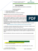 Segundo 2023 - Sesion 05 - Indaga - Ficha de Trabajo de Ciencia y Tecnologia