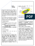 Introdução À Biologia Celular: Procariontes