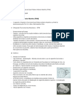 Relatório de Ortodontia - Aula de Guia Póstero Anterior Marinho (PAM)