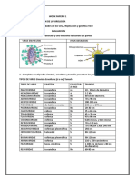 WORK PAPER de Virologia