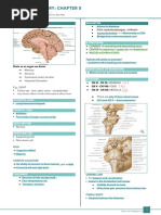 Neuroanatomy: Chapter 5: Introduction To The Brainstem