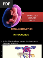 Fetalcirculation