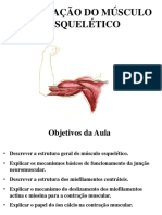 Contração Do Músculo Esquelético