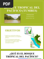 Bosque Tropical Del Pacífico (Tumbes) : Integrantes