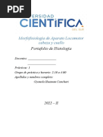 Histologia Modelo Portafolio