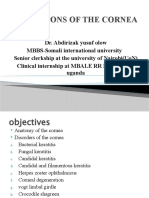 Conditions of The Cornea