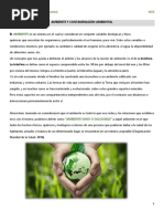 PDF - TEORÍA - Ambiente y Contaminación Ambiental