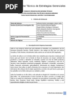 Informe Tecnico de Estrategias - ENTREGA FINAL