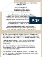 Diapositiva de Integración y Control de Los Procesos Metabólicos