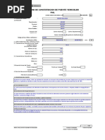 PML Ficha de Constatacion de Puente Vehicular: (Marcar Con "X")