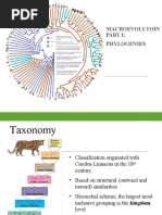 Gen Bio 2 Phylogeny