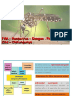 3.1virus Hemorragicos