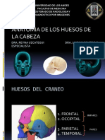 Anatomia de Los Huesos de La Cabeza