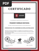 Certificado: Magno Vargas Dayana