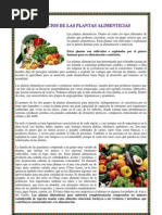 Beneficios de Las Plantas Alimenticias