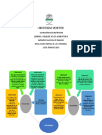 Mapa Mental Vitaminas