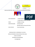 MINIRISET, Rekayasa Ide, Project DSD