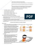 Patologias Musculo Esqueleticas Más Comunes