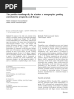 The Patellar Tendinopathy in Athletes A Sonographic Grading Correlated To Prognosis and Therapy