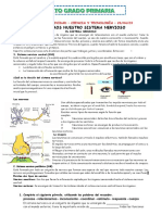 26-04 Ficha Conocemos Nuestro Sistema Nervioso