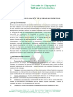 Documento Proceso de Declaración de Nulidad