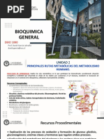 Bioquimica General: DBIO 1080