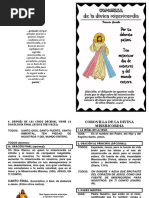 CORONILLA DE LA DIVINA MISERICORDIA - Media Carta