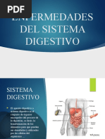 Enfermedades Del Sistema Digestivo