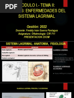 1.2 Sistema Lagrimal Presentacion