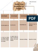 Mapa Conceptual. Músculos y Nervios