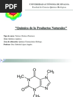 Química de Lo Productos Naturales : Universidad Autónoma de Sinaloa Facultad de Ciencias Químico Biológicas