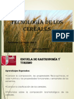 Tema 1 - Aspectos Generales de Los Granos