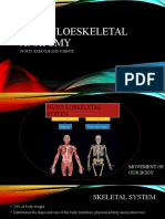 Musculoeskeletal Anatomy: Sports, Exercise and Science