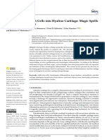 Strategies To Convert Cells Into Hyaline Cartilage: Magic Spells For Adult Stem Cells