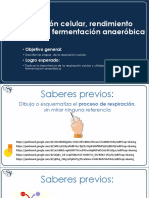 Tema6 GB2023-1 PDF