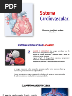 Sistema Cardiovascular (Sangre y Corazon) PDF