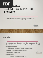 1 PROCESO DE AMPARO. Introdución